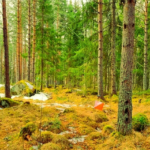 Ungdomsträningarna drar igång!